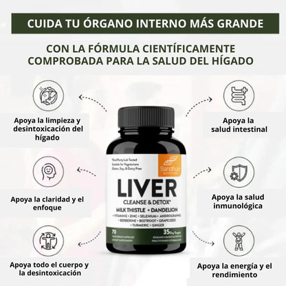 LIVER | Recupera la Energía que tu Hígado te Roba
