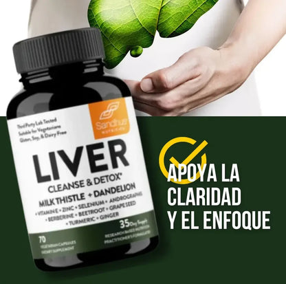 LIVER | Recupera la Energía que tu Hígado te Roba